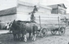 Bernard Ulrich hauling lumber from Glen Ullin, North Dakota in 1910